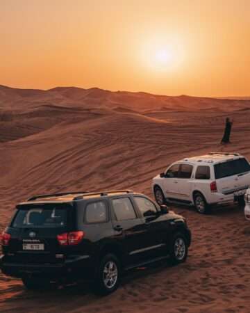 Evening Desert Safari