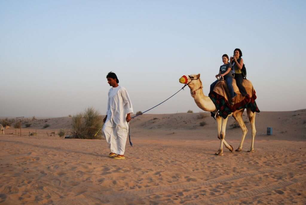 traditional camel ride