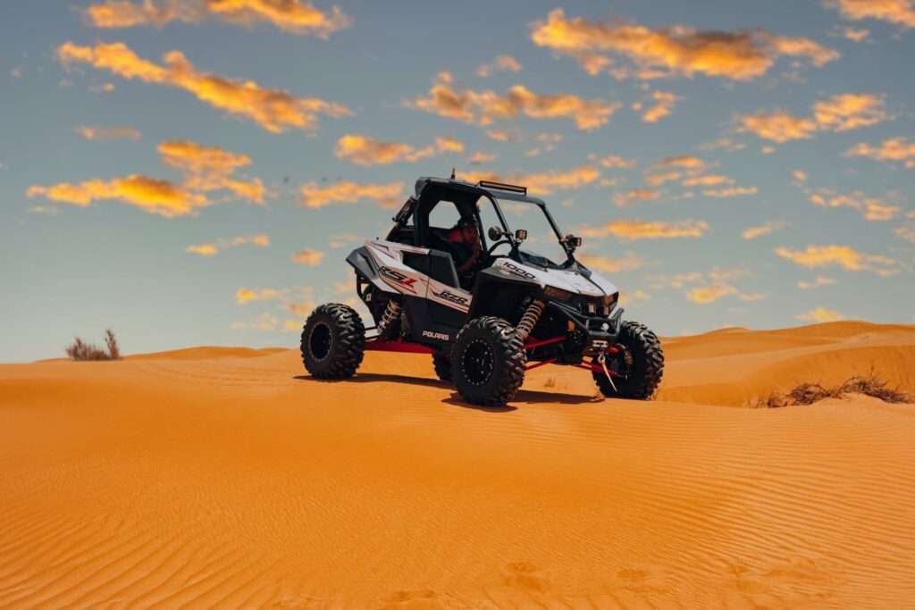 WhatsApp Image 2023-03-01 at 03.32.36 (1)