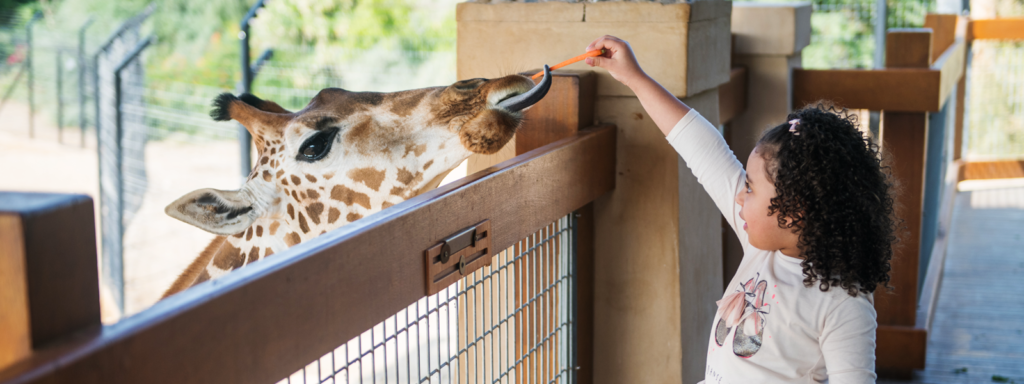zoo1